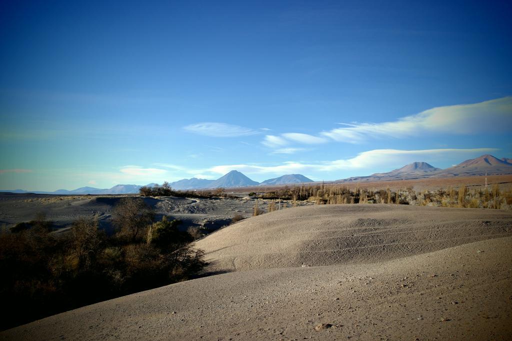 ToconaoComplejo Turistico El Toconar别墅 外观 照片