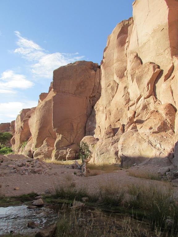 ToconaoComplejo Turistico El Toconar别墅 外观 照片
